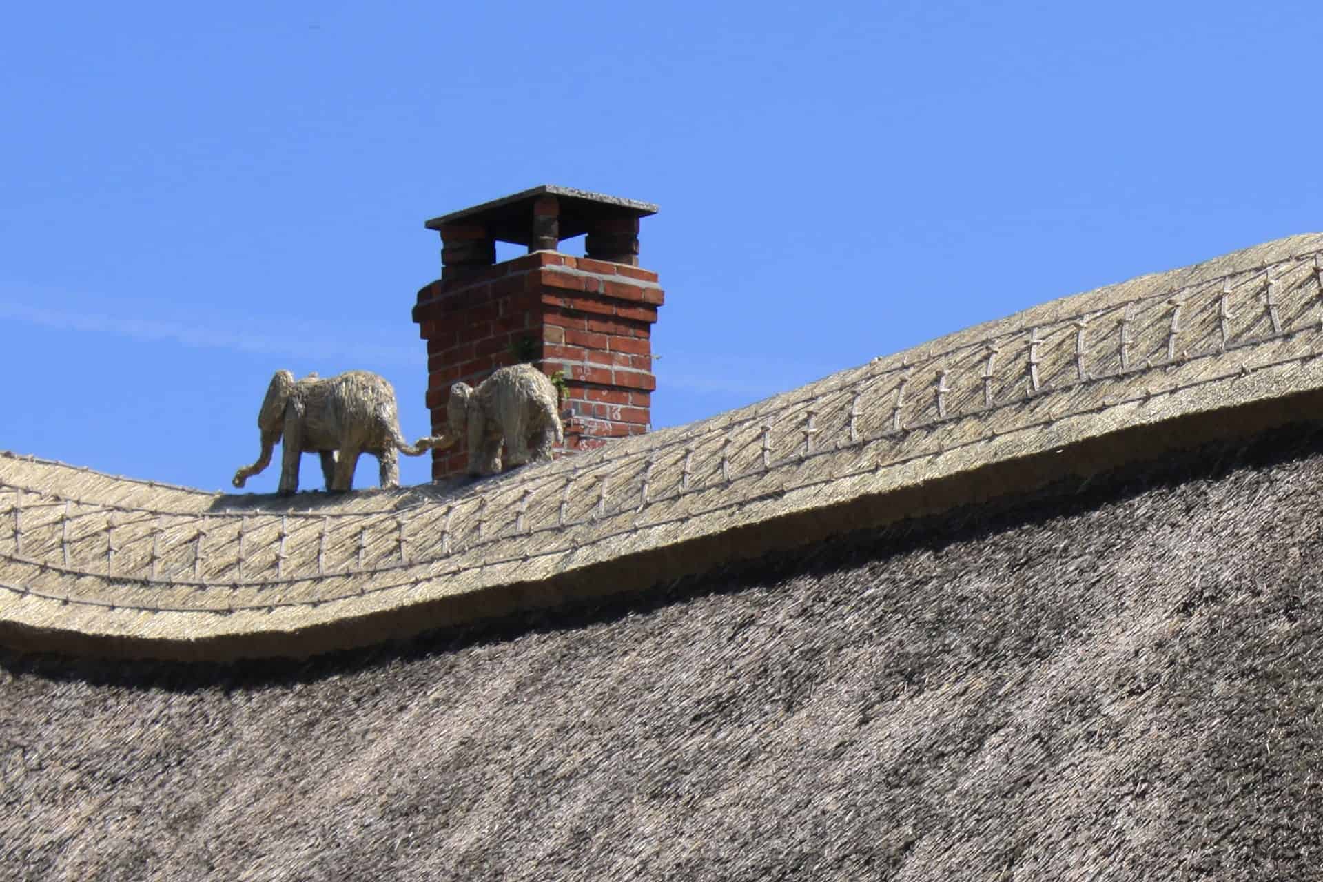 Thatched elephants walking on thatched roof top