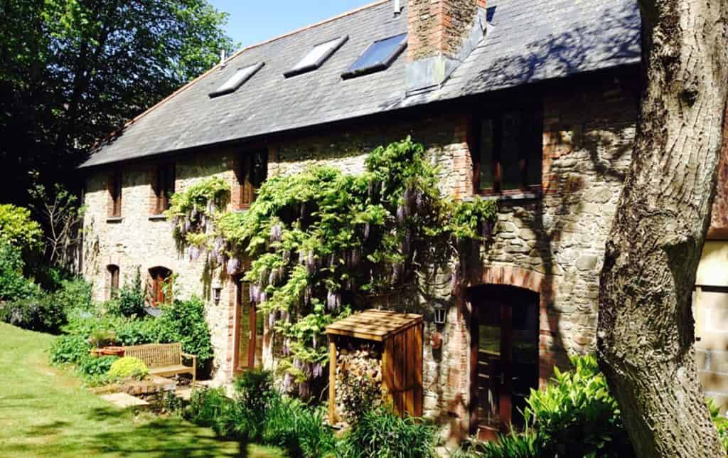 Wisteria growing on Devon Farmhouse