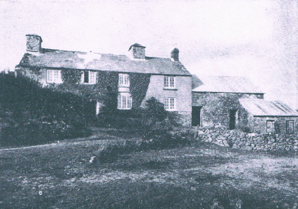 Ditsworthy,Warren,Dartmoor