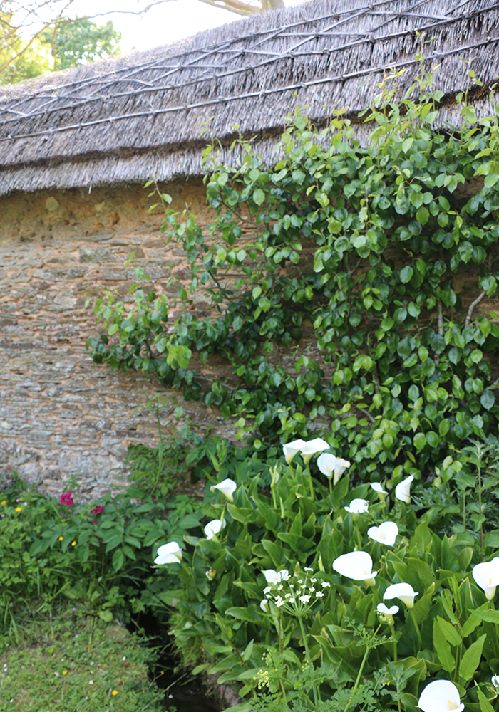 historic garden restoration Devon,listed building architects UK,17th century kitchen garden,thatched wall coping,heritage architecture South Hams,Atkinson Architects projects,Alleron House,Loddiswell,Circular Walled Garden,leat
